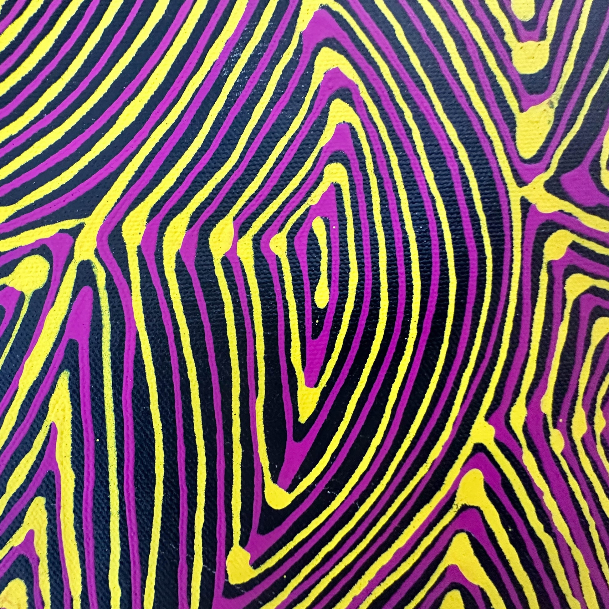 Marcie Turner Petyarre, Marcia Turner Pula, Utopia, Awelye, Body Paint, Women’s dreaming, indigenous art, aboriginal art, Australian art, art, art for sale, art gallery, painting, painting for sale, Darwin gallery, wall art, art décor, interior decorator, interior décor, altyerre aboriginal art, family business, ethical art, original art, direct from the artist, petyarre, linear, mesmerising painting, optical illusion