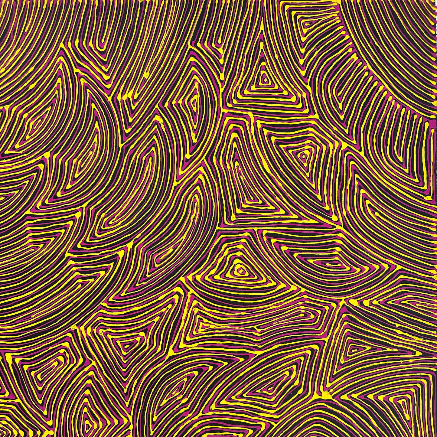 Marcie Turner Petyarre, Marcia Turner Pula, Utopia, Awelye, Body Paint, Women’s dreaming, indigenous art, aboriginal art, Australian art, art, art for sale, art gallery, painting, painting for sale, Darwin gallery, wall art, art décor, interior decorator, interior décor, altyerre aboriginal art, family business, ethical art, original art, direct from the artist, petyarre, linear, mesmerising painting, optical illusion