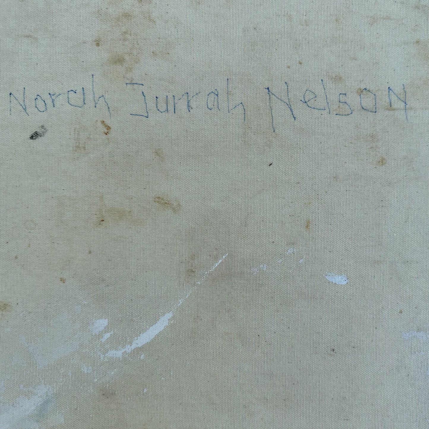 NORAH NELSON NAPALJARRI - Bush Tucker