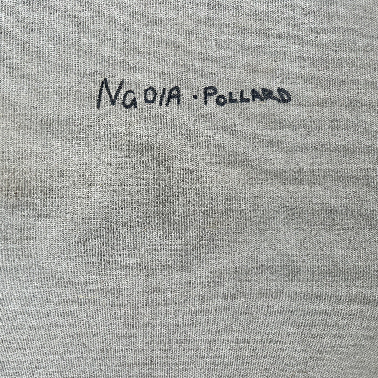 Ngoia pollard napaltjarri, indigenous art, aboriginal art, Australian art, altyerre aboriginal art, art for sale, painting, painting for sale, swamps, swamps at nyrripi, haasts bluff, Walpiri, art gallery, contemporary art, Darwin gallery, family owned business, aboriginal culture, native Australian, artist, white, black, red, dot painting, dot art, art collector, original art, ethical art, direct from the artis, dreaming, dreamtime, story telling, indigenous culture, indigenous australia, first nations  