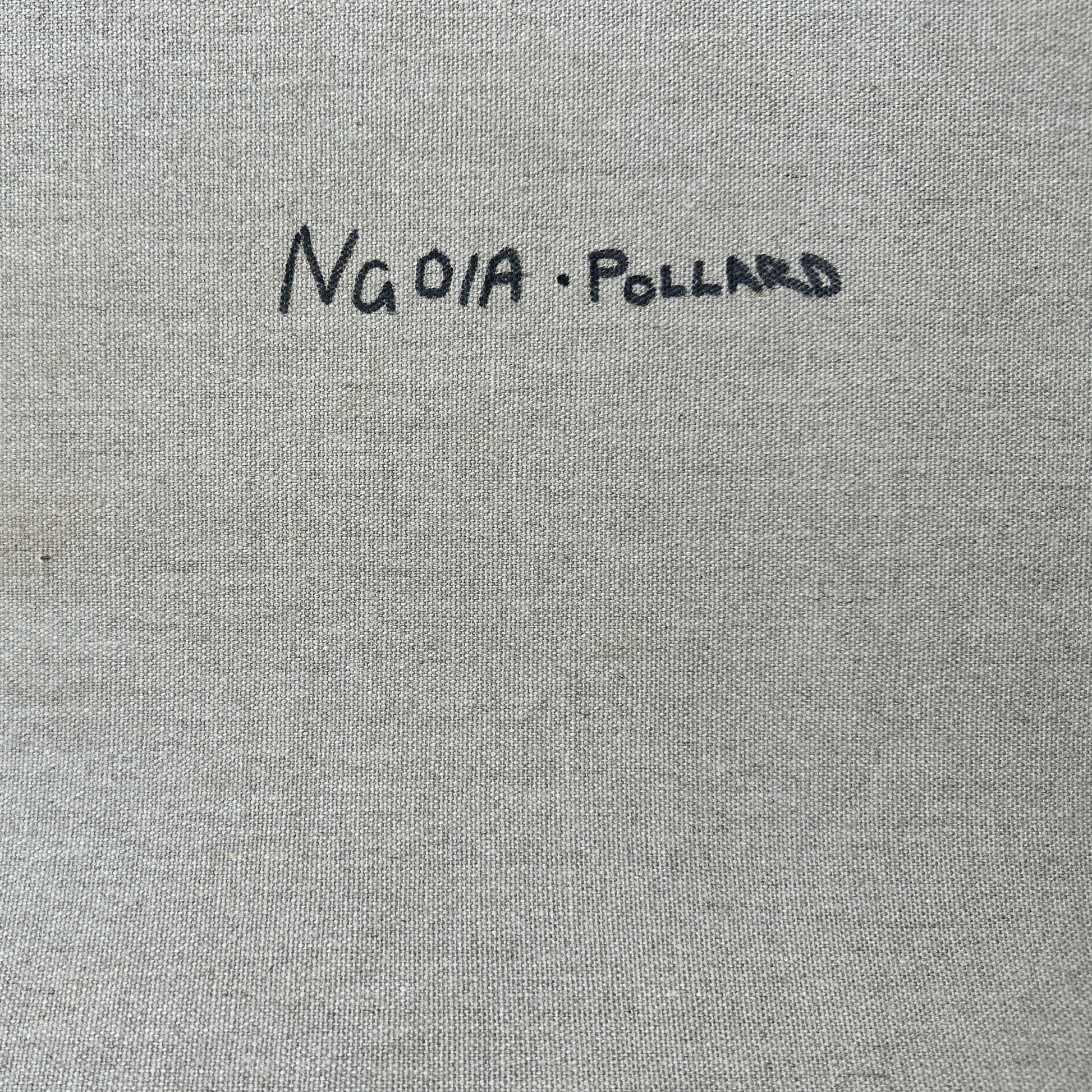 Ngoia pollard napaltjarri, indigenous art, aboriginal art, Australian art, altyerre aboriginal art, art for sale, painting, painting for sale, swamps, swamps at nyrripi, haasts bluff, Walpiri, art gallery, contemporary art, Darwin gallery, family owned business, aboriginal culture, native Australian, artist, white, black, red, dot painting, dot art, art collector, original art, ethical art, direct from the artis, dreaming, dreamtime, story telling, indigenous culture, indigenous australia, first nations  