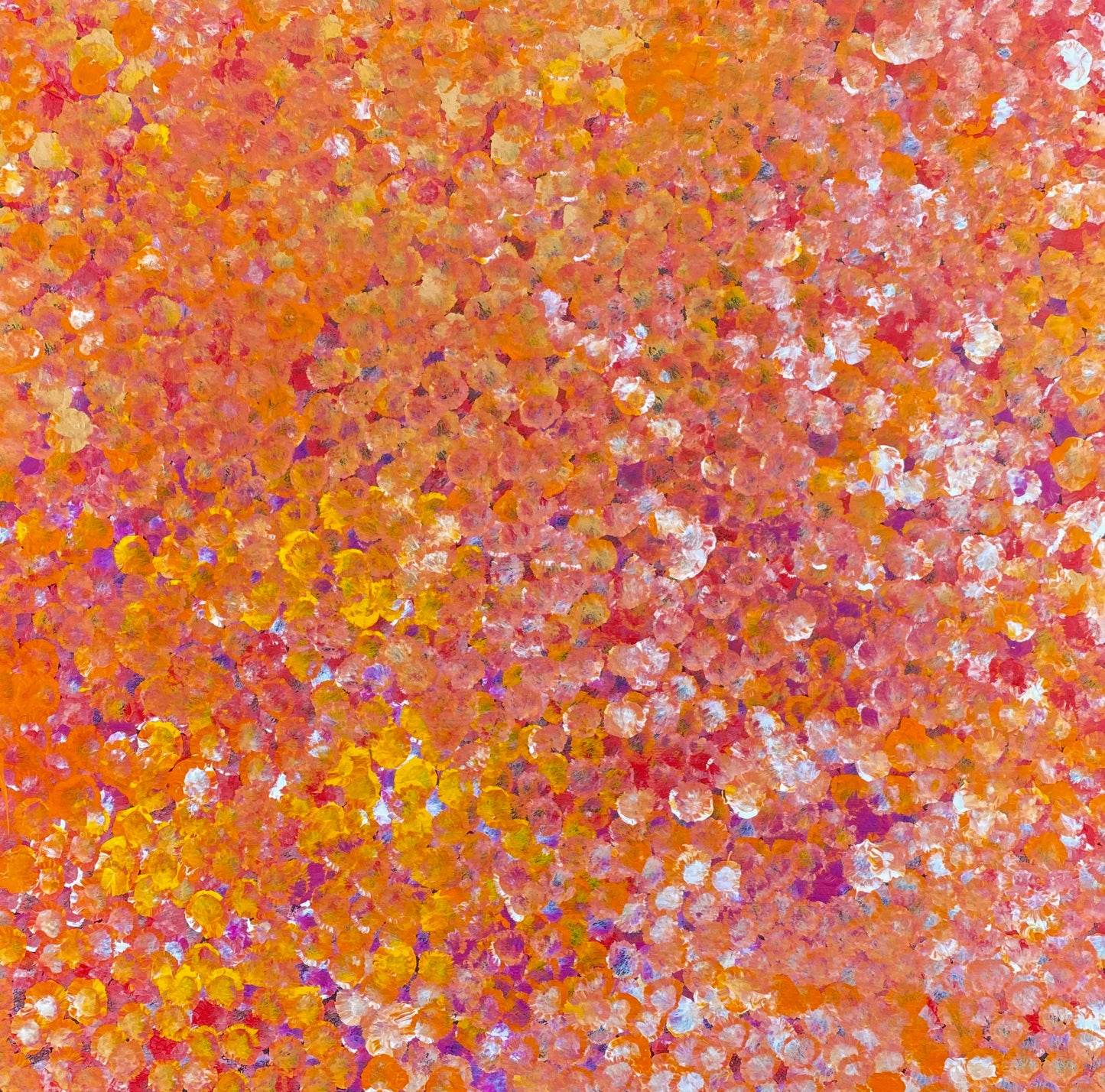 Polly Nelson Nangla, Polly Ngale, Polly Ngal, Utopia artist, Indigenous art, Aboriginal Art, Australian Art, Bush Plum dreaming, dot painting, dot art, art for sale, painting for sale, indigenous art for sale, aboriginal art for sale, altyerre aboriginal art, art décor, interior décor, interior design, colourful, home décor, office décor, art collector, Darwin gallery, art gallery, northern territory, family business, bush tucker, bush food, interior designer, wall art, bush plum dreaming