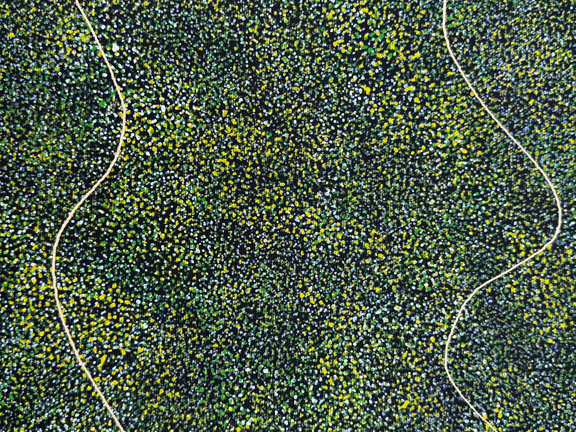 Polly Nelson Nangala Ngale Ngal + Utopia + Indigneous Art + Aboriginal Art + Australian Art + Dot Painting + Dot artwork + Green + yellow + Bush Plum Dreaming + Famous Artist + Aerial Art + Darwin Based Gallery