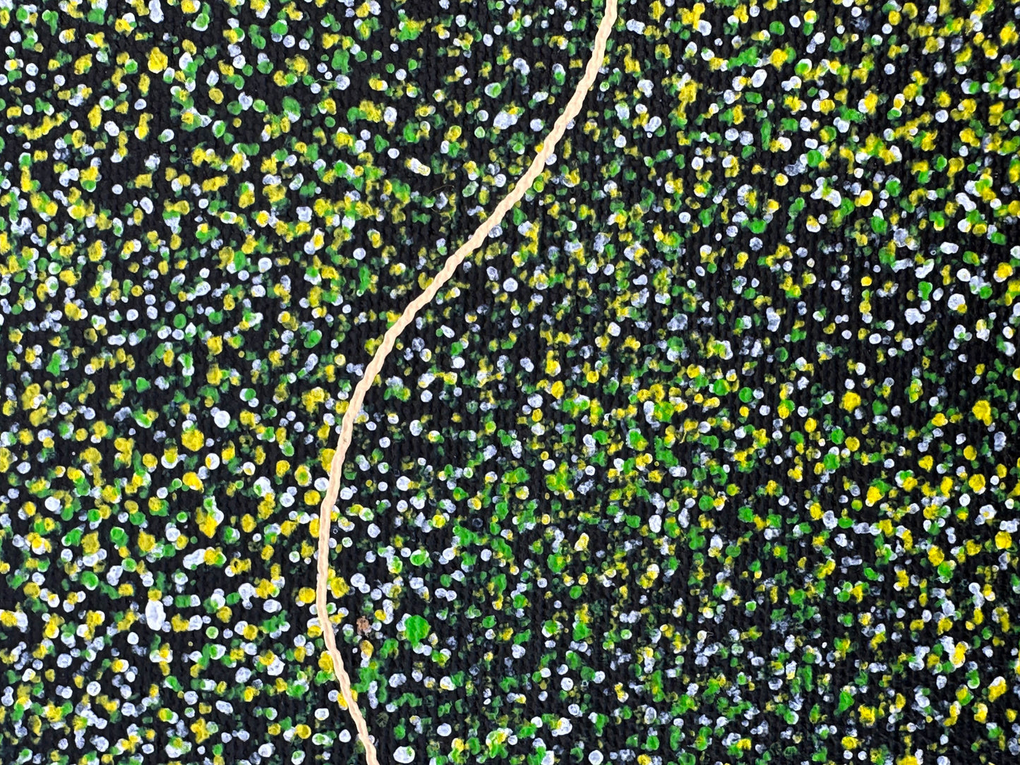 Polly Nelson Nangala Ngale Ngal + Utopia + Indigneous Art + Aboriginal Art + Australian Art + Dot Painting + Dot artwork + Green + yellow + Bush Plum Dreaming + Famous Artist + Aerial Art + Darwin Based Gallery