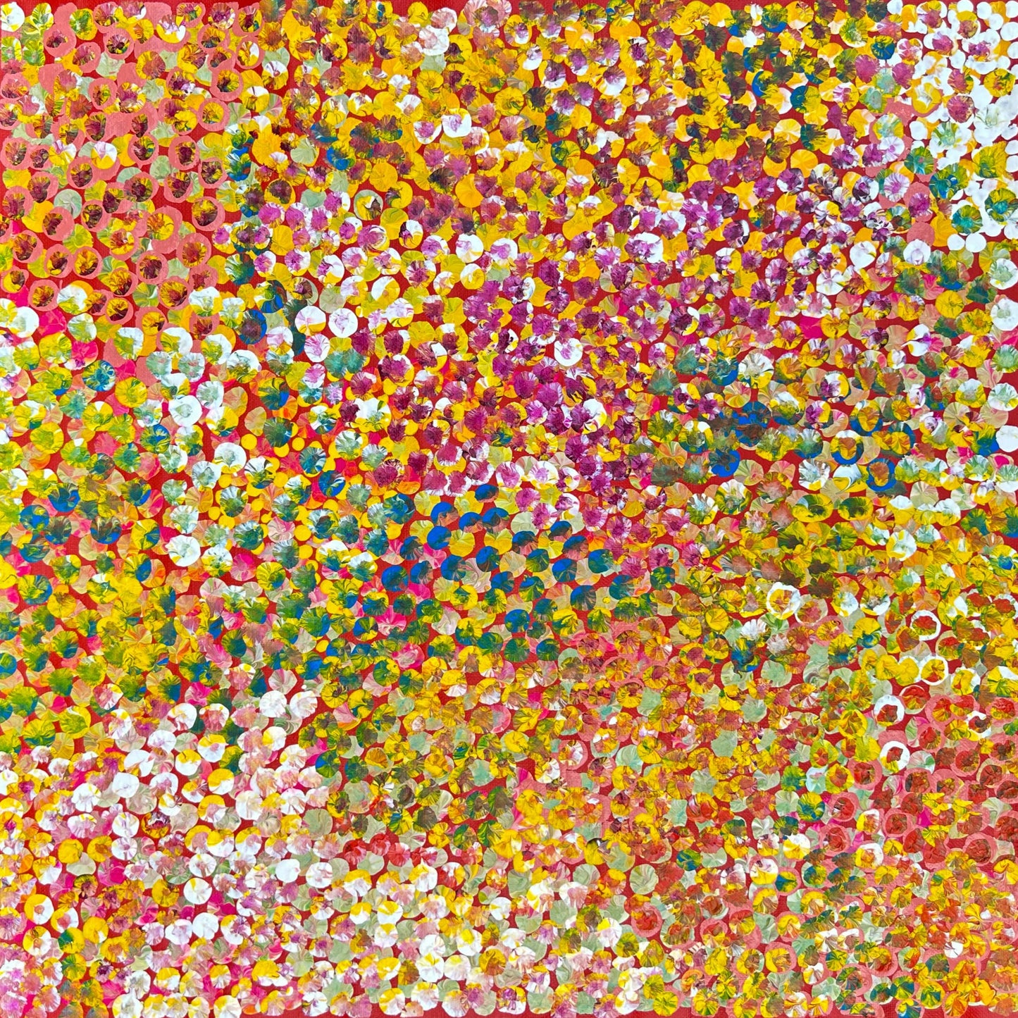 Bush Plum + Arnwetky + Conkerberry + Utopia + Aboriginal Art + Indigenous Art + Australian Art + Polly Nelson Nungala + Polly Ngal + Polly Ngale + Darwin Based Gallery + Small Art Work + Art for sale + Painting for Sale + Art Collector + Famous Artist