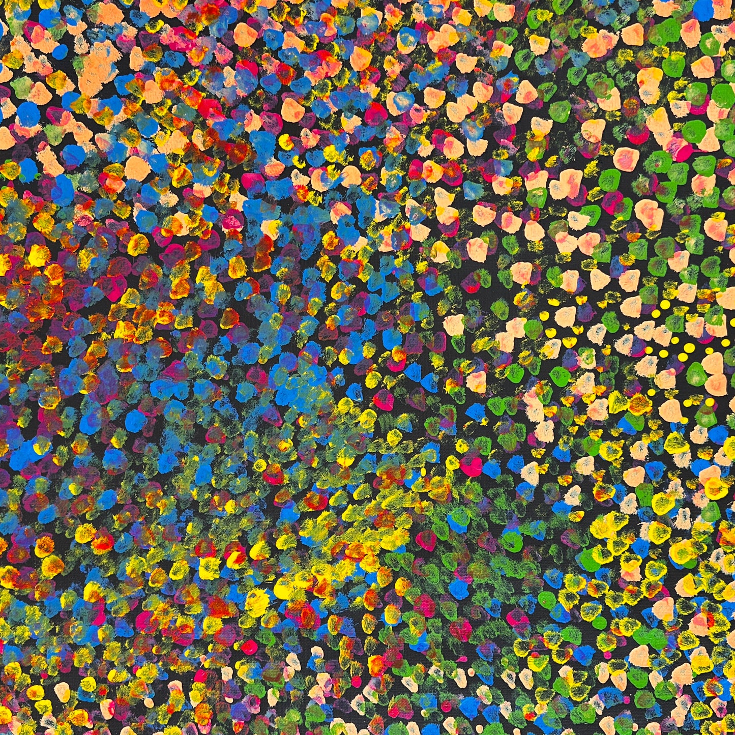 Polly Nelson Nangla, Polly Ngale, Polly Ngal, Utopia artist, Indigenous art, Aboriginal Art, Australian Art, Bush Plum dreaming, dot painting, dot art, art for sale, painting for sale, indigenous art for sale, aboriginal art for sale, altyerre aboriginal art, art décor, interior décor, interior design, colourful, home décor, office décor, art collector, Darwin gallery, art gallery, northern territory, family business, bush tucker, bush food, interior designer, wall art, bush plum dreaming