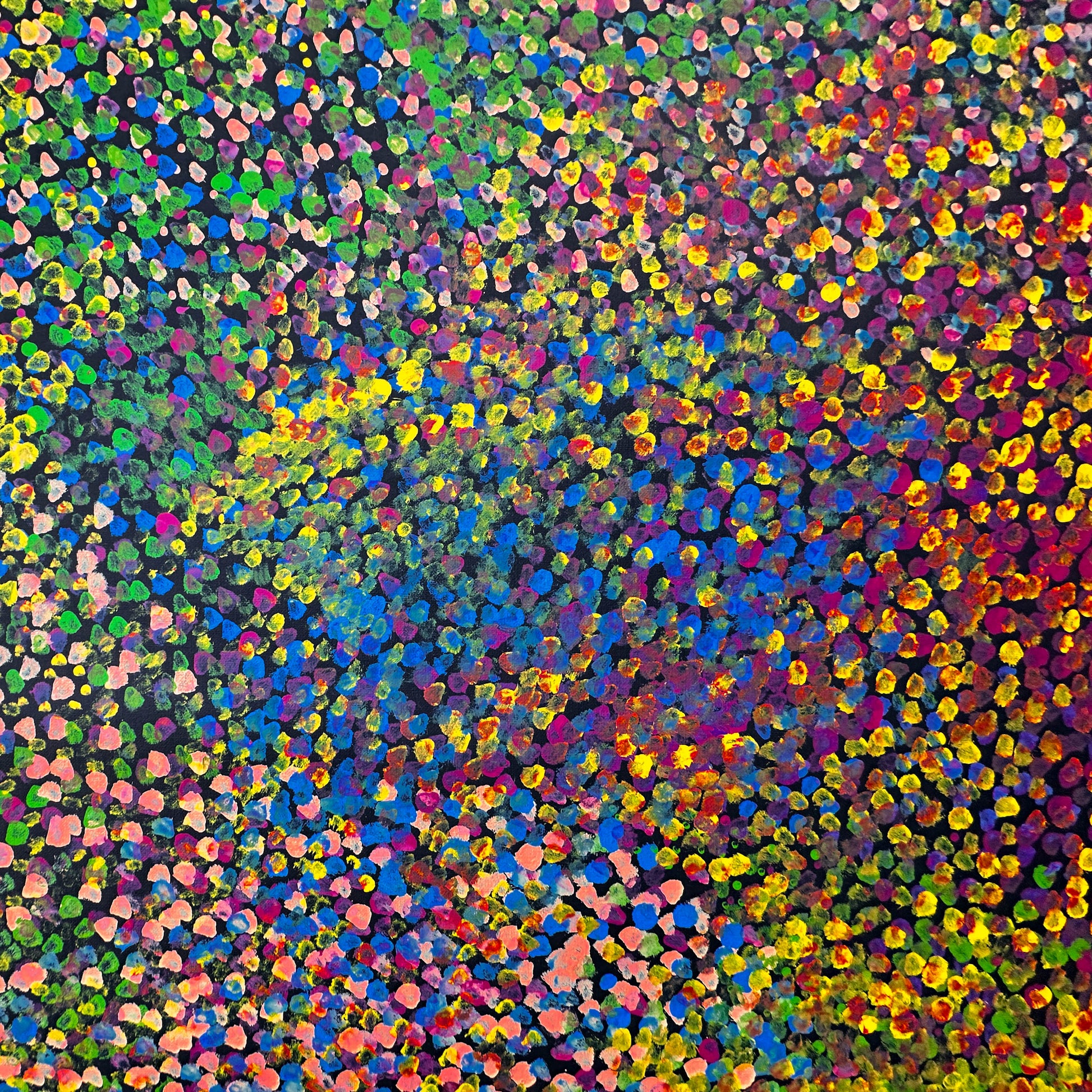 Polly Nelson Nangla, Polly Ngale, Polly Ngal, Utopia artist, Indigenous art, Aboriginal Art, Australian Art, Bush Plum dreaming, dot painting, dot art, art for sale, painting for sale, indigenous art for sale, aboriginal art for sale, altyerre aboriginal art, art décor, interior décor, interior design, colourful, home décor, office décor, art collector, Darwin gallery, art gallery, northern territory, family business, bush tucker, bush food, interior designer, wall art, bush plum dreaming