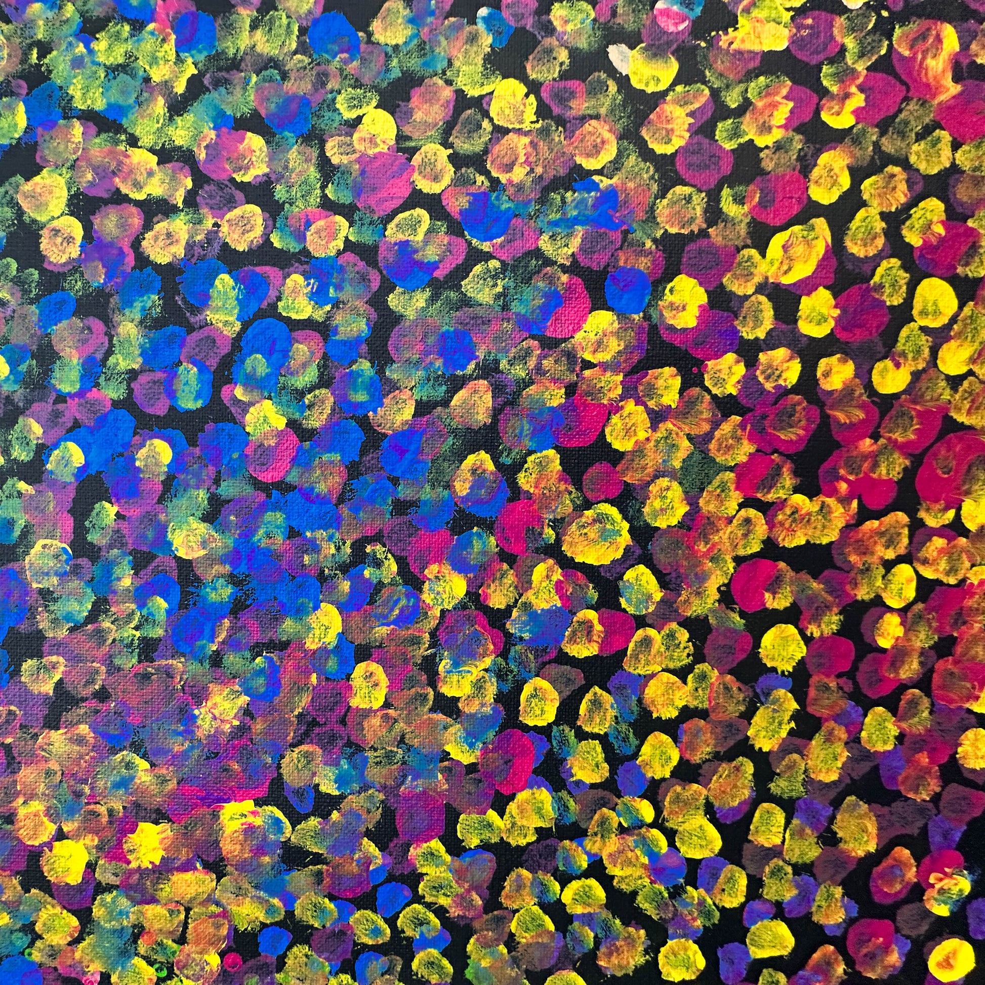 Polly Nelson Nangla, Polly Ngale, Polly Ngal, Utopia artist, Indigenous art, Aboriginal Art, Australian Art, Bush Plum dreaming, dot painting, dot art, art for sale, painting for sale, indigenous art for sale, aboriginal art for sale, altyerre aboriginal art, art décor, interior décor, interior design, colourful, home décor, office décor, art collector, Darwin gallery, art gallery, northern territory, family business, bush tucker, bush food, interior designer, wall art, bush plum dreaming