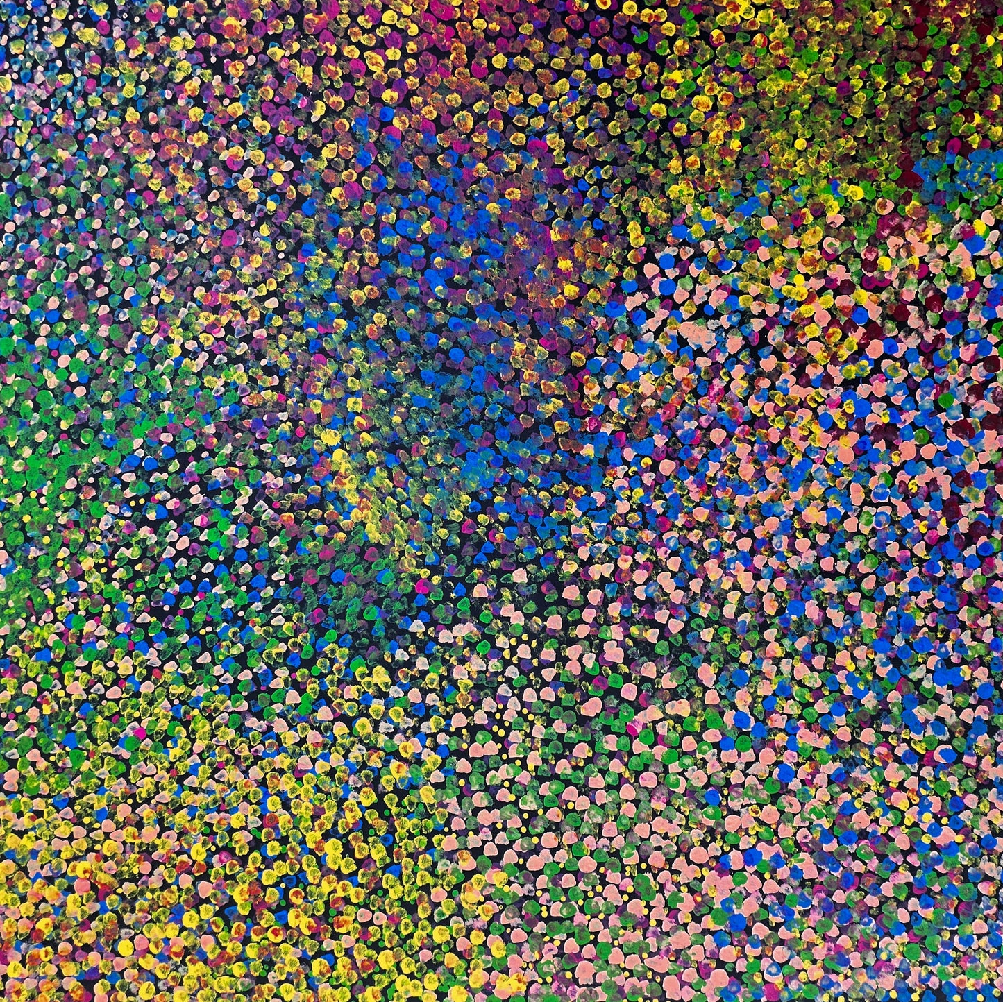 Polly Nelson Nangla, Polly Ngale, Pollly Ngal, Utopia artist, Indigenous art, Aboriginal Art, Australian Art, Bush Plum dreaming, dot painting, dot art, art for sale, painting for sale, indigenous art for sale, aboriginal art for sale, altyerre aboriginal art, art décor, interior décor, interior design, colourful, home décor, office décor, art collector, Darwin gallery, art gallery, northern territory, family business, bush tucker, bush food, 