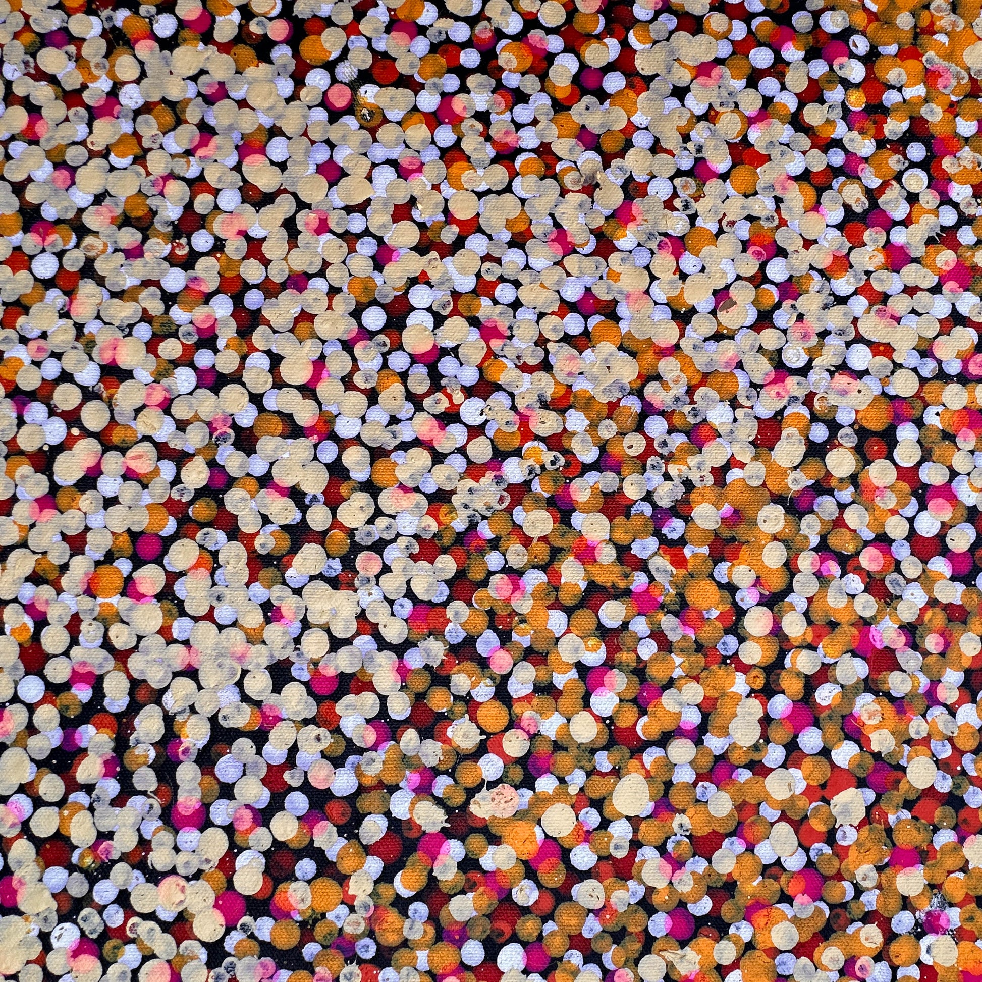 Polly Nelson Nangla, Polly Ngale, Polly Ngal, Utopia artist, Indigenous art, Aboriginal Art, Australian Art, Bush Plum dreaming, dot painting, dot art, art for sale, painting for sale, indigenous art for sale, aboriginal art for sale, altyerre aboriginal art, art décor, interior décor, interior design, colourful, home décor, office décor, art collector, Darwin gallery, art gallery, northern territory, family business, bush tucker, bush food, interior designer, wall art, bush plum dreaming