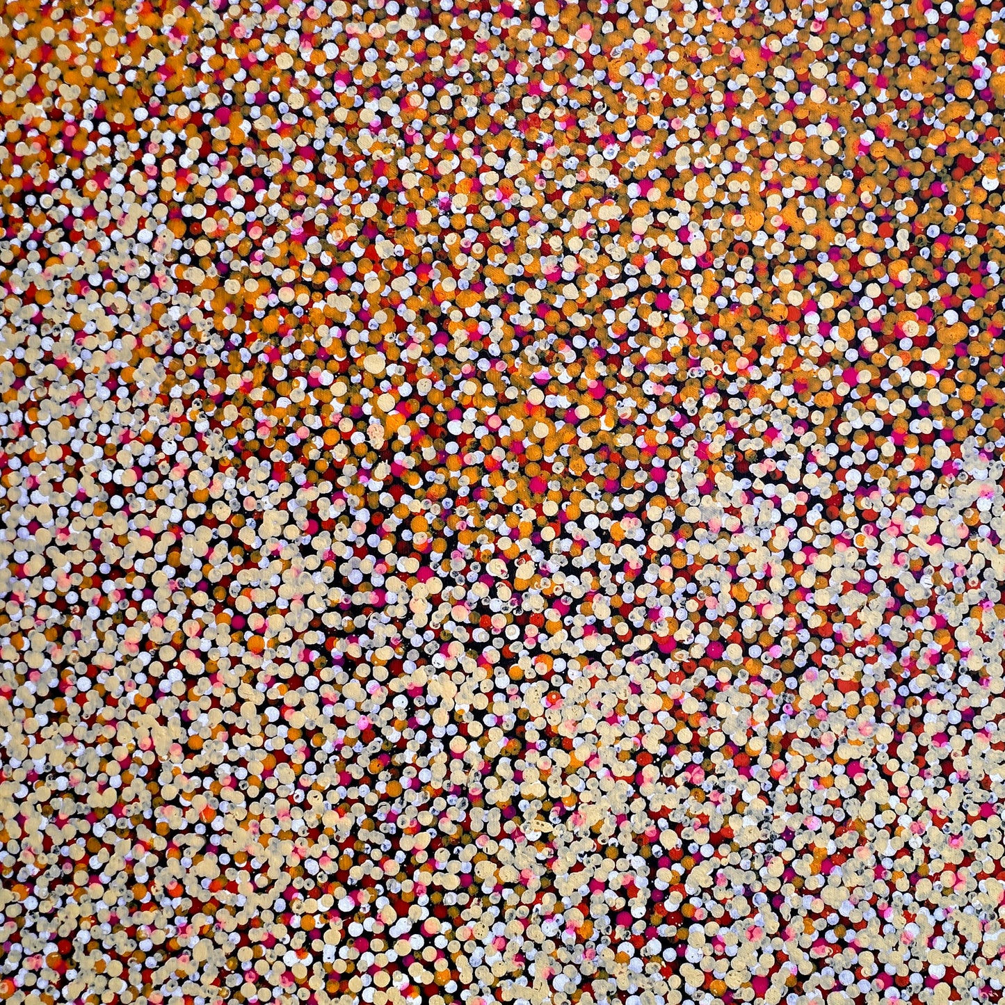 Polly Nelson Nangla, Polly Ngale, Polly Ngal, Utopia artist, Indigenous art, Aboriginal Art, Australian Art, Bush Plum dreaming, dot painting, dot art, art for sale, painting for sale, indigenous art for sale, aboriginal art for sale, altyerre aboriginal art, art décor, interior décor, interior design, colourful, home décor, office décor, art collector, Darwin gallery, art gallery, northern territory, family business, bush tucker, bush food, interior designer, wall art, bush plum dreaming
