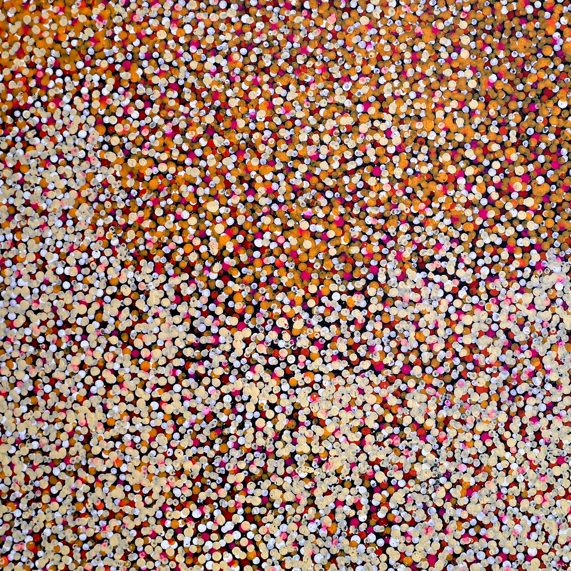 Polly Nelson Nangla, Polly Ngale, Polly Ngal, Utopia artist, Indigenous art, Aboriginal Art, Australian Art, Bush Plum dreaming, dot painting, dot art, art for sale, painting for sale, indigenous art for sale, aboriginal art for sale, altyerre aboriginal art, art décor, interior décor, interior design, colourful, home décor, office décor, art collector, Darwin gallery, art gallery, northern territory, family business, bush tucker, bush food, interior designer, wall art, bush plum dreaming