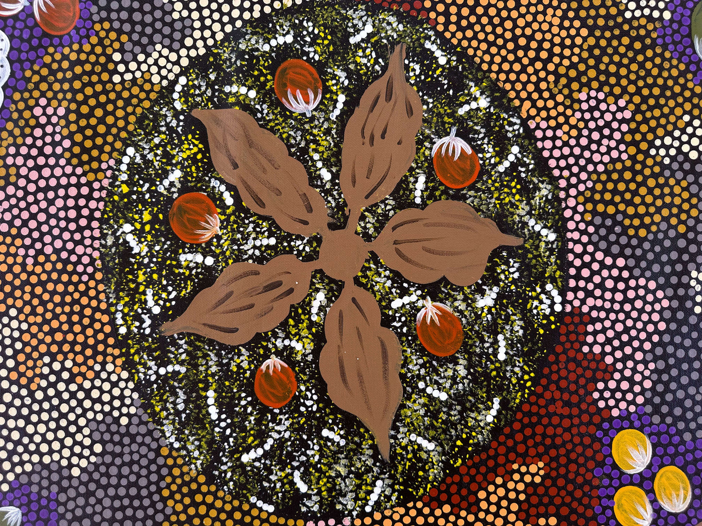 Patsy Ross + Ti Tree + Indigenous Art + Aboriginal Art + Australian Art + Bush Tucker + Dreaming + Witchetty Grub + Bush Berries + Bush Banana + Bush Tomato + Darwin Based Gallery + Dot Art Painting + Dot Painting +