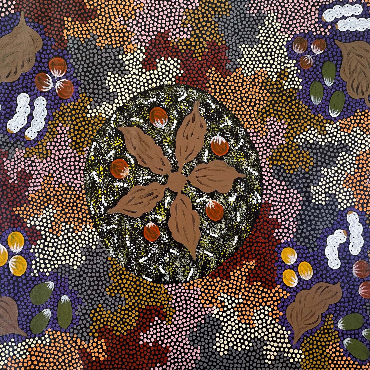 Patsy Ross + Ti Tree + Indigenous Art + Aboriginal Art + Australian Art + Bush Tucker + Dreaming + Witchetty Grub + Bush Berries + Bush Banana + Bush Tomato + Darwin Based Gallery + Dot Art Painting + Dot Painting +