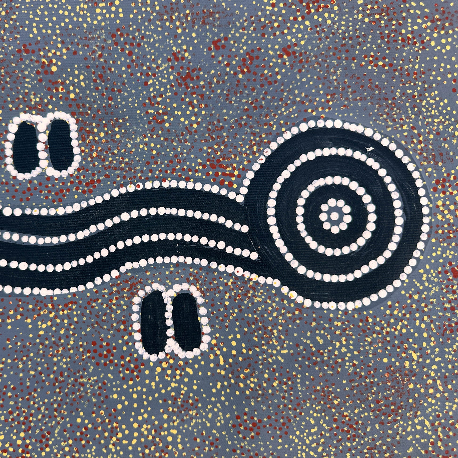Rex Daniel Granites Japanangka, Yuendumu, Northern Territory, Warlpiri, Bush Tucker, Honey Ant, My Country, Central Desert, Aboriginal Art, Indigenous Art, Australian Art, Indigenous art for sale, Aboriginal art for sale, Bush Tucker, My Country, Centenary Medal, interior design, wall art, altyerre aboriginal art, Darwin art gallery, family business, ethical art, authentic art, outback Australia, décor,