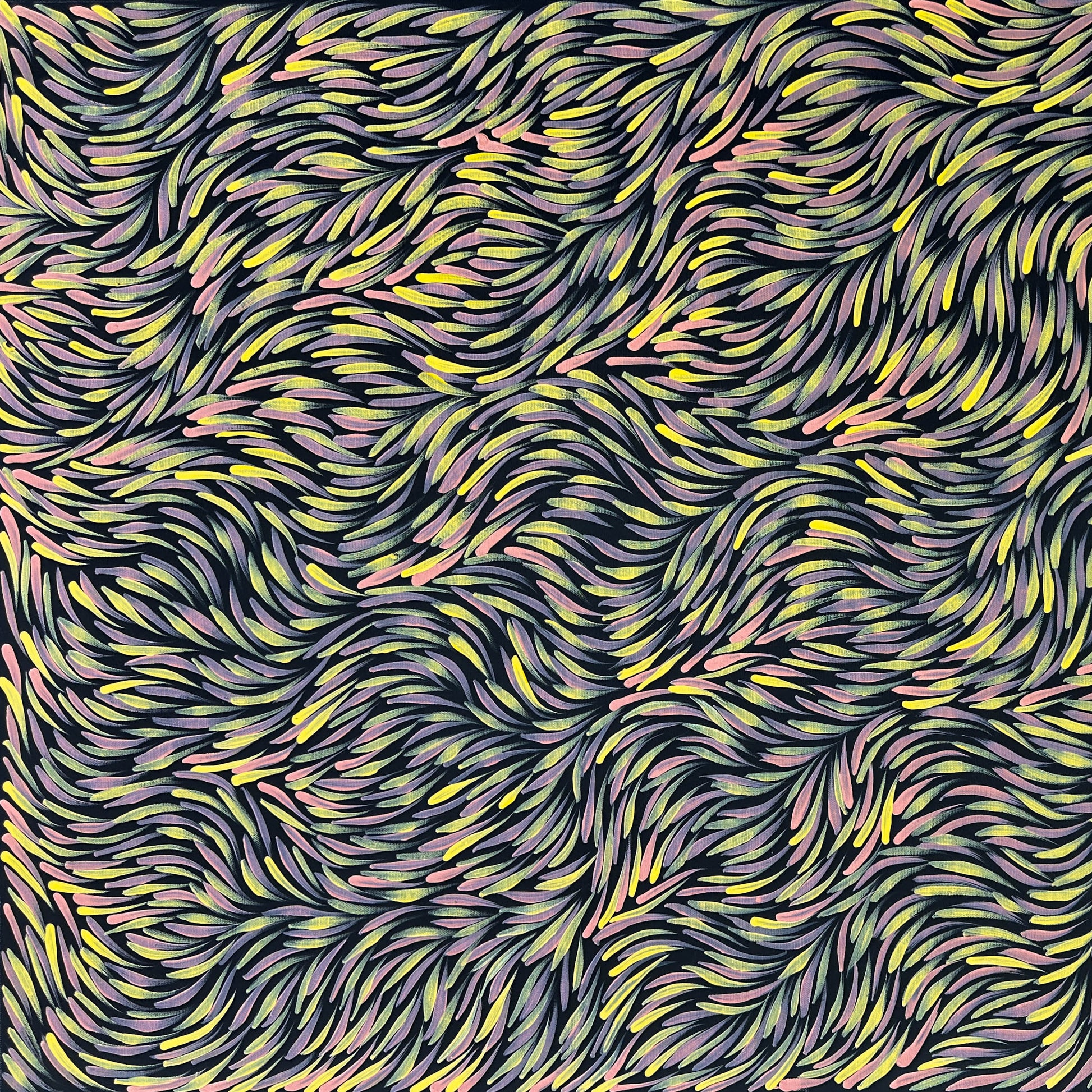 Rosemary Pitjara Petyarre, Utopia, Northern Territory, Outback, Indigneous Art, Aboriginal Art, Australian Art, Bush Yam Leaves, Bush Medicine Leaves, Art, Art Gallery, Art for Sale, Painting, Painting for sale, Altyerre Aboriginal Art, Darwin Gallery, Art Décor, Interior Décor, Wall Art, Interior Decorator, Ethical Art, Original Art, Direct From the Artist, Family Business, Anmatyerre, Movement, Colourful, Beautiful Art, Utopia, Utopian Artist, 