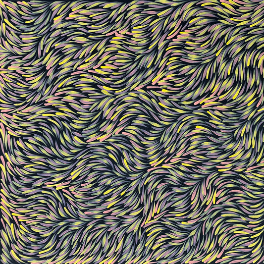 
#RosemaryPitjara #rosemarypetyarre #utopia #northernterritory #outback #indigneousart #australianart #aboriginalart #bushyamleaves #bushmedicine #bushmedicineleaves #art #artgallery #artforsale #painting #paintingforsale #altyerreaboriginalart #darwingallery #artdecor #interiordecor #wallart #interiordecorator #petyarre #anmatyerre #familybusiness #ethicalart #directfromtheartist #origionalart #RP488
