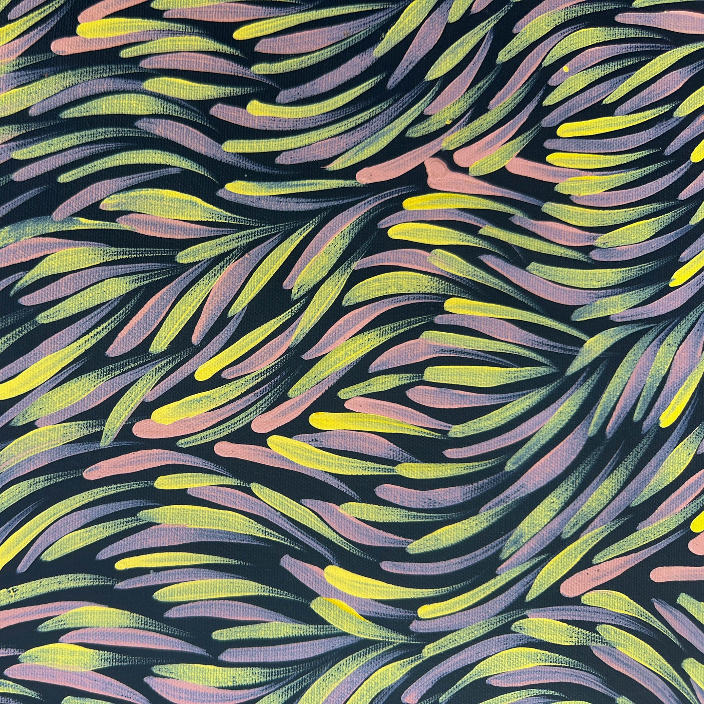 Rosemary Pitjara Petyarre, Utopia, Northern Territory, Outback, Indigneous Art, Aboriginal Art, Australian Art, Bush Yam Leaves, Bush Medicine Leaves, Art, Art Gallery, Art for Sale, Painting, Painting for sale, Altyerre Aboriginal Art, Darwin Gallery, Art Décor, Interior Décor, Wall Art, Interior Decorator, Ethical Art, Original Art, Direct From the Artist, Family Business, Anmatyerre, Movement, Colourful, Beautiful Art, Utopia, Utopian Artist, 
