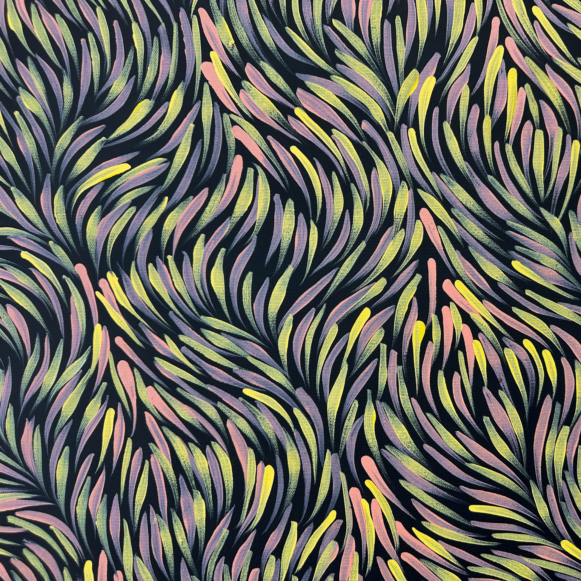 Rosemary Pitjara Petyarre, Utopia, Northern Territory, Outback, Indigneous Art, Aboriginal Art, Australian Art, Bush Yam Leaves, Bush Medicine Leaves, Art, Art Gallery, Art for Sale, Painting, Painting for sale, Altyerre Aboriginal Art, Darwin Gallery, Art Décor, Interior Décor, Wall Art, Interior Decorator, Ethical Art, Original Art, Direct From the Artist, Family Business, Anmatyerre, Movement, Colourful, Beautiful Art, Utopia, Utopian Artist, 