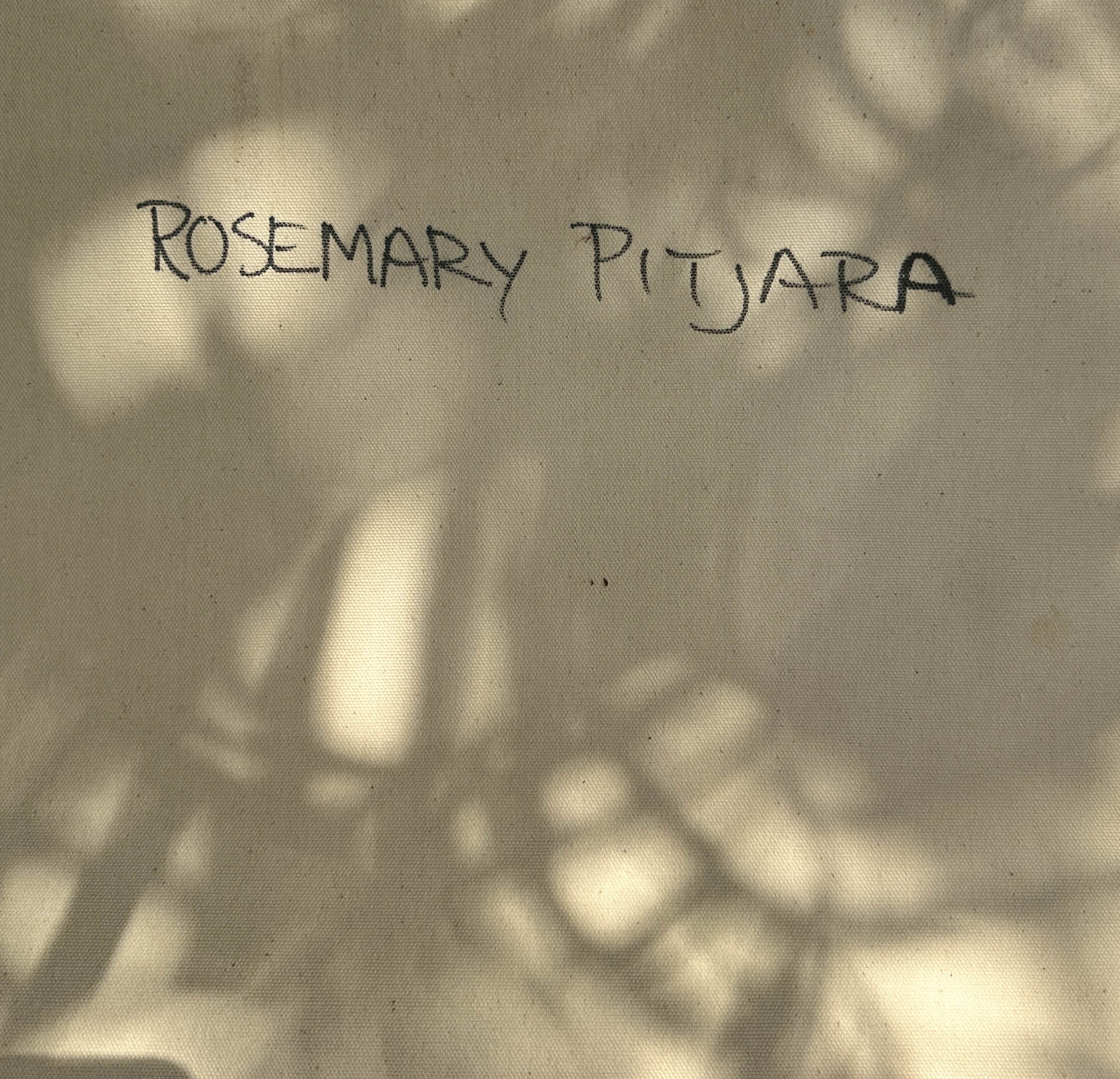 Rosemary Pitjara Petyarre, Utopia, Northern Territory, Outback, Indigneous Art, Aboriginal Art, Australian Art, Bush Yam Leaves, Bush Medicine Leaves, Art, Art Gallery, Art for Sale, Painting, Painting for sale, Altyerre Aboriginal Art, Darwin Gallery, Art Décor, Interior Décor, Wall Art, Interior Decorator, Ethical Art, Original Art, Direct From the Artist, Family Business, Anmatyerre, Movement, Colourful, Beautiful Art, Utopia, Utopian Artist, 