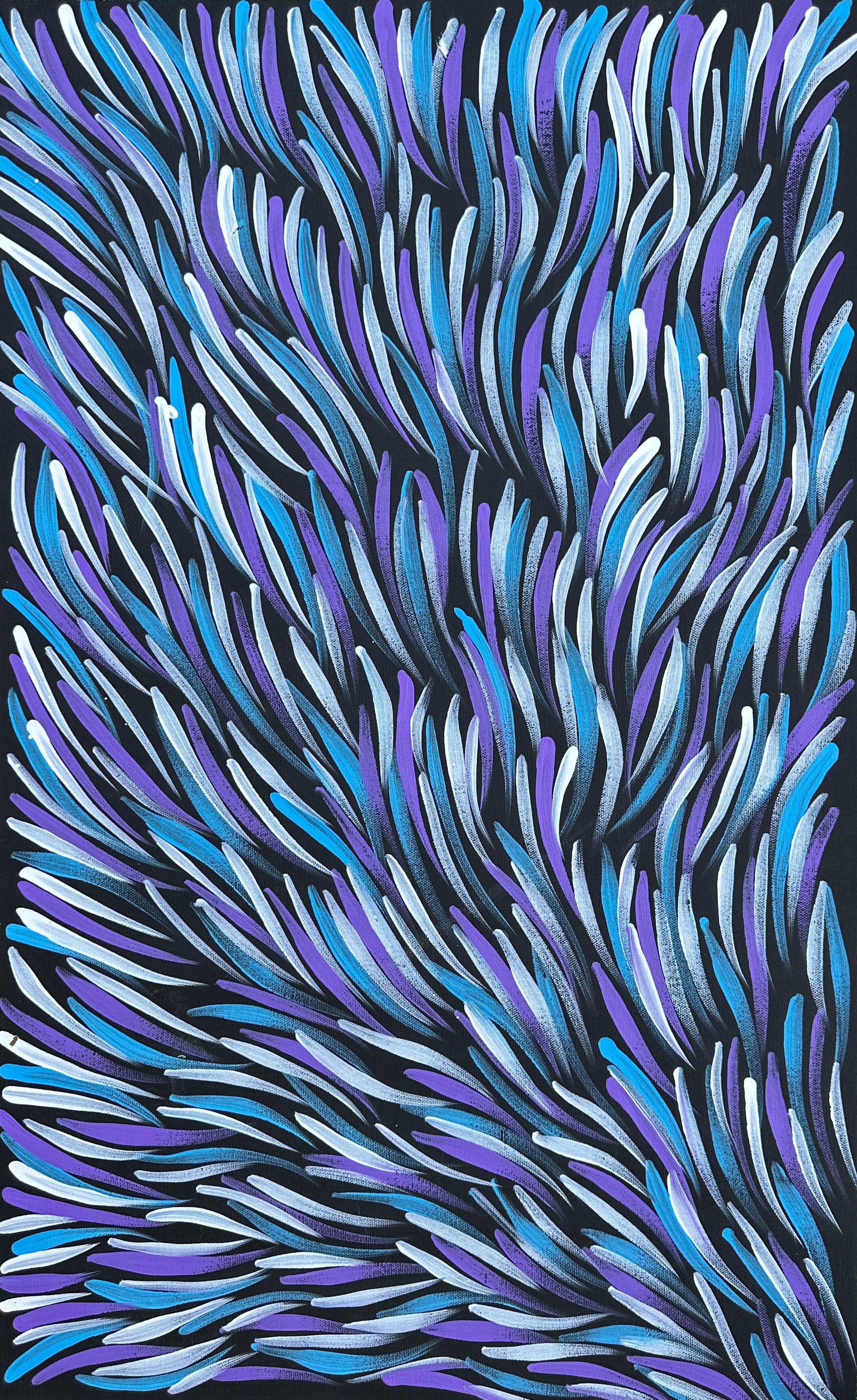 Rosemary Pitjara Petyarre + Utopia + Bush Medicine Leaves + Indigenous Art + Aboriginal Art + Australian Art + Purple + Blue + White + Darwin Based Gallery + Contemporary Art + Traditional Art