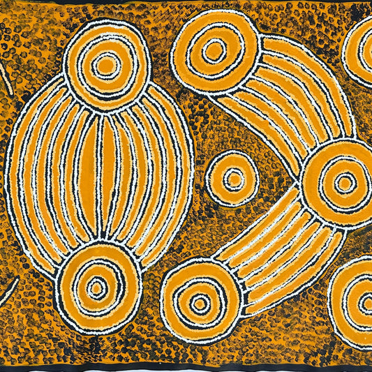 Rowena Pei Pei + Kaltukatjara +Docker River +Northern Territory + Pitjantjatjara + Aboriginal Art + Indigenous Art + Australian Art + Darwin Based Gallery + Artwork + Painting + Iconography + Symbolism