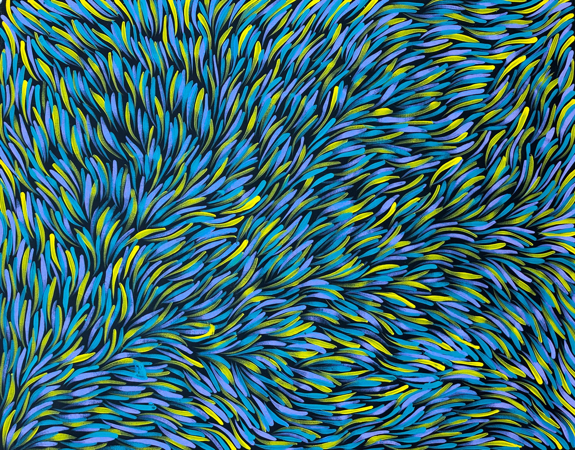 Rosemary Pitjara Petyarre Utopia Bush Medicine Leaves Aboriginal Art Indigenous Art Australian Art Painting Dreaming Yellow Blue Purple