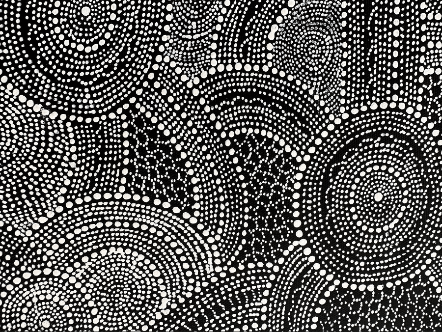 Buy Rosalie Morton Napurrurla Art - Budgerigar Dreaming - Shop Aboriginal Art Online