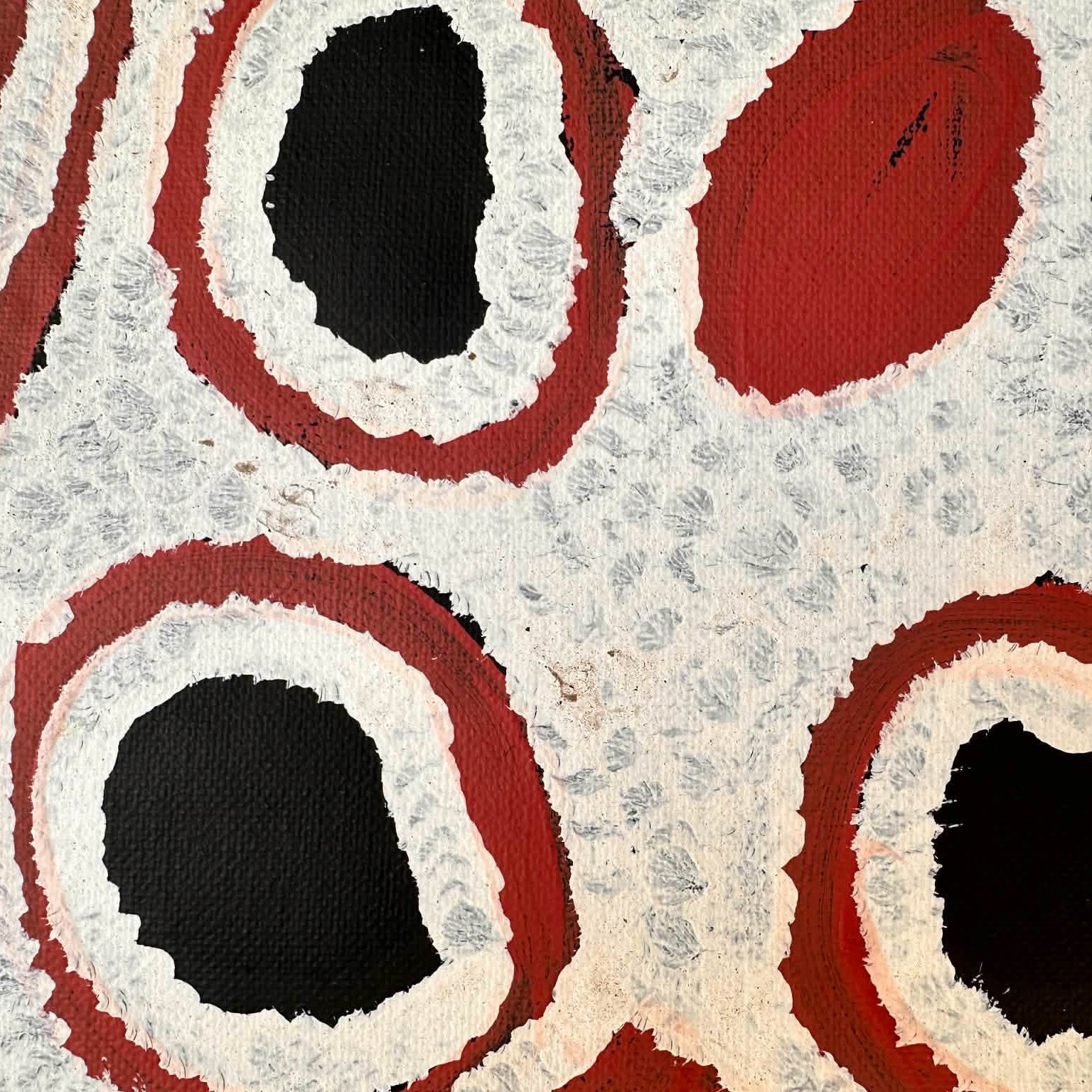 #susannapaltjarrigibson #susangibson #kintore #northernterritory #indigenousart #aboriginalart #australianart #traditionalart #symbolism #iconography #art #artgallery #painting #paintingforsale #artforsale #wallart #artgallery #familybusiness #darwingallery #decor #interiordesign #interiordecor #authenticart #ethicalart #origionalart #altyerreaboriginalart