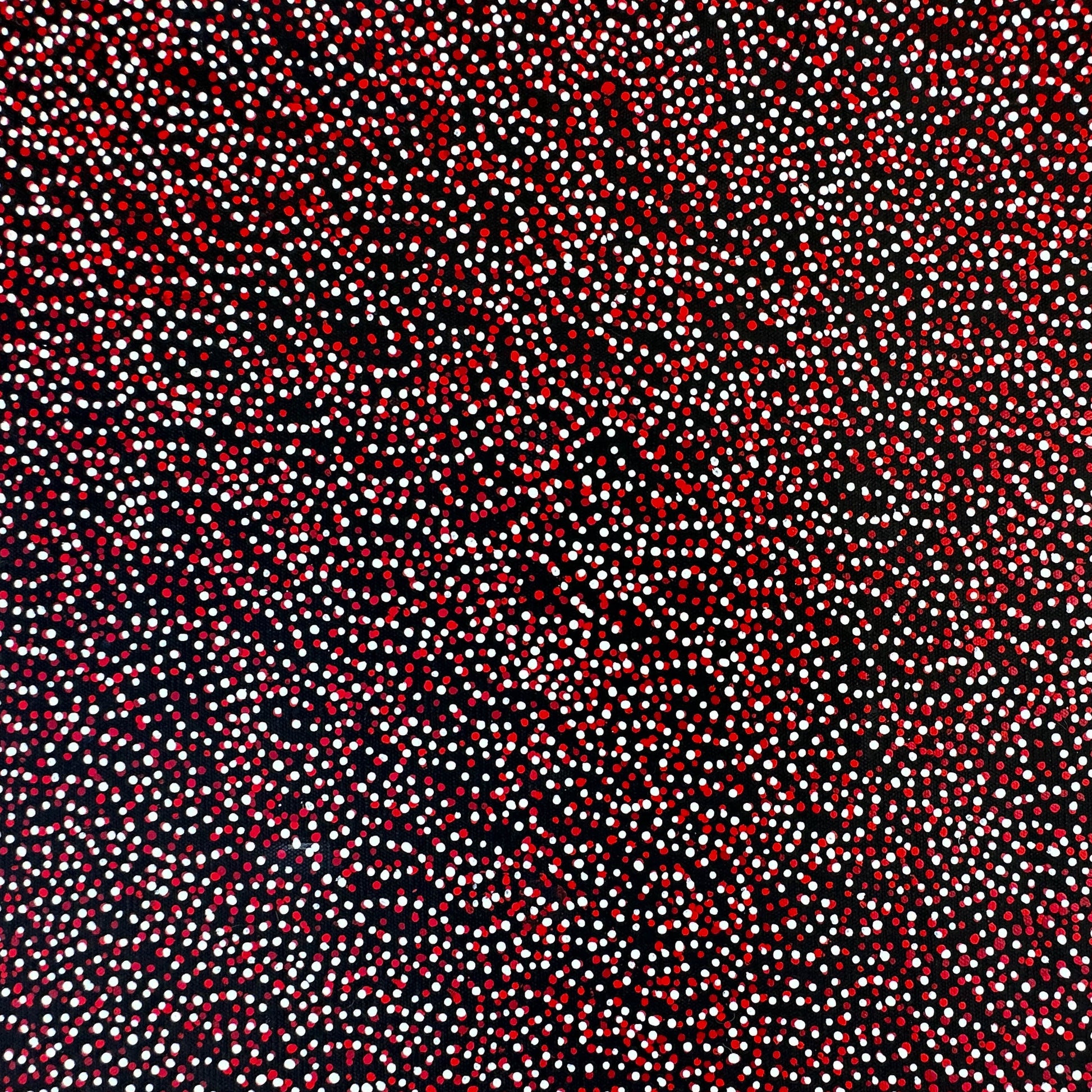 Teresa Pula Price + Grandmother's Country + Red + White + Black + Utopia + Indigenous Art + Aboriginal Art + Australian Art + Dot Art Painting + Dot work + Art Gallery + Darwin Based Gallery + Family Business + Home Decor + Interior Decor + Interior Designer + 