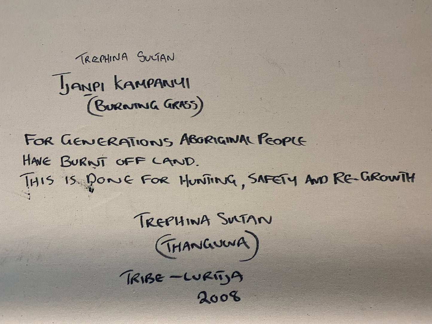 Trephina Sultan + Tjanpi Kampanyi + burning grass + Alice Springs + burn off + fire + innovative artist + indigenous art + aboriginal art + australian art + art for sale + painting for sale + artwork for sale + art gallery + online art gallery + darwin based gallery + family owned business + interior decor + decor + contemporary art