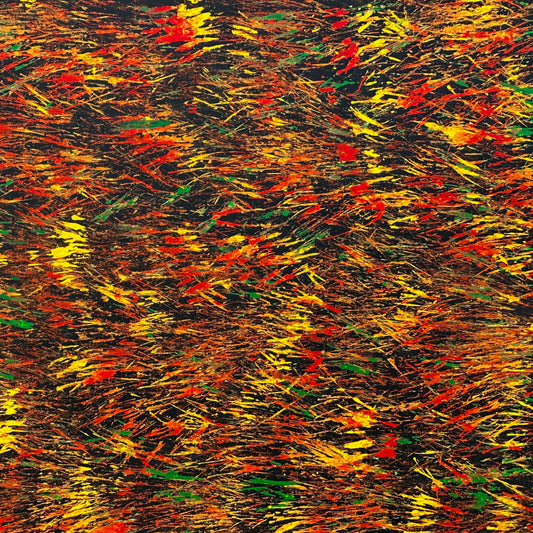 Tjanpi Kampanyi + Burning Grass + Ingigenous Art + Aboriginal Art + Australian Art + Abstract Art + Contemporary Art + Darwin Based Gallery + yellow + Green + Orange + red + Fire + Traditional Ways + Alice Springs + Kings Canyon + 