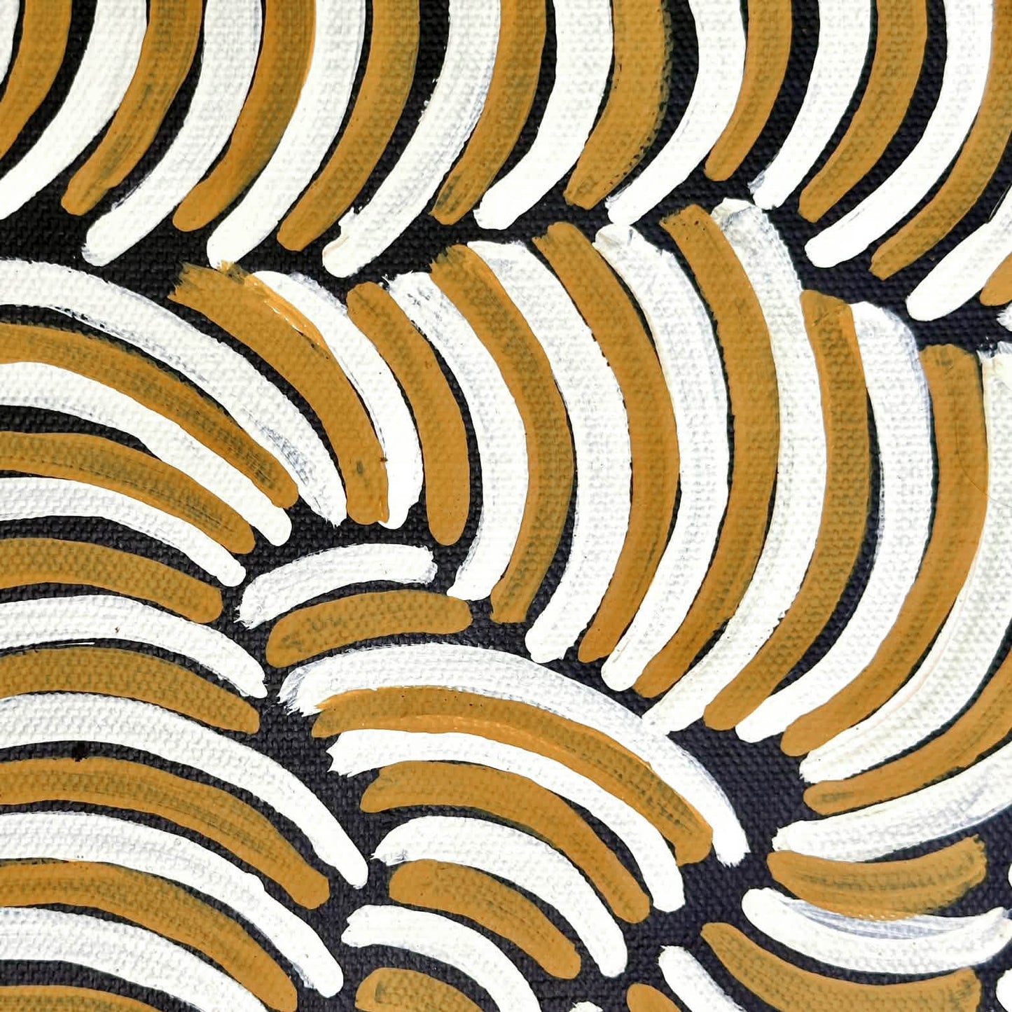 #violetpetyarre #violetpitjara #arnkerrthe #mountaindevil #thornydevillizard #lizard #indigenousart #aboriginalart #australianart #art #painting #artforsale #paintingforsale #decor #interiordecor #interiordesigner #officedecor #wallart #altyerreaboriginalart #artstory #authenticart #originalart #famousartist #familybusiness #artgallery #gallery #darwingallery 