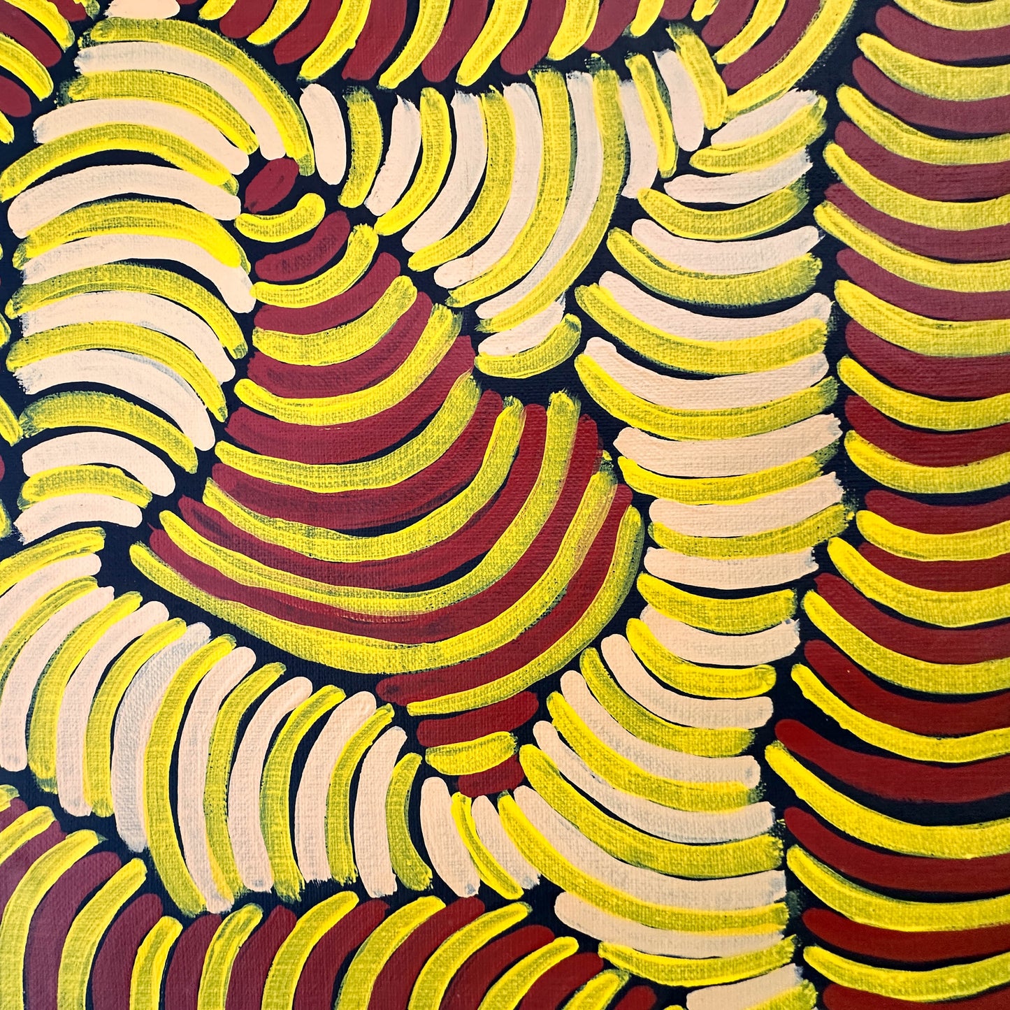 
Violet Peyarre, Violet Pitjara, arnkerrthe, mountain devil, thorny devil, lizard, indigenous art for sale, aboriginal art for sale, Australian art, altyerre, altyerre aboriginal art, painting for sale, Darwin based gallery, family business, décor, interior design, petyarre sisters, wall art, art gallery, Darwin gallery, original art, authentic art, gallery, famous artist family, utopia, northern territory, office décor, interior design

