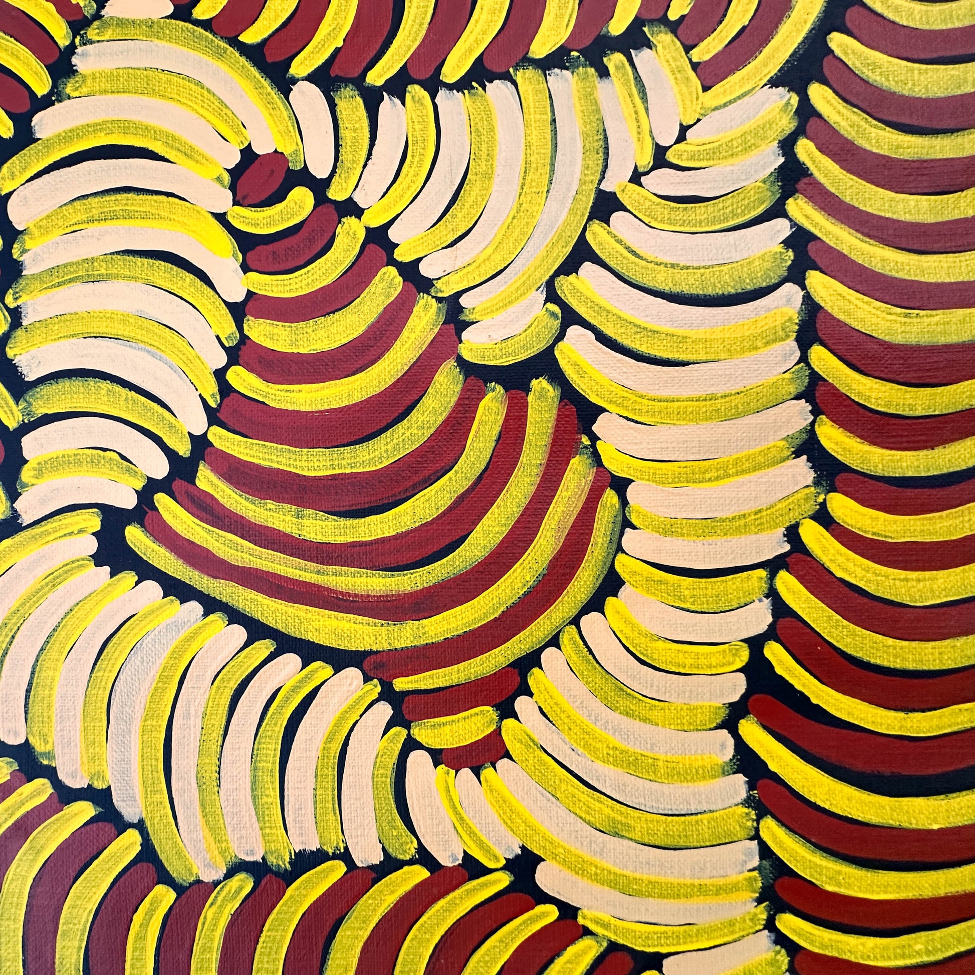 
Violet Peyarre, Violet Pitjara, arnkerrthe, mountain devil, thorny devil, lizard, indigenous art for sale, aboriginal art for sale, Australian art, altyerre, altyerre aboriginal art, painting for sale, Darwin based gallery, family business, décor, interior design, petyarre sisters, wall art, art gallery, Darwin gallery, original art, authentic art, gallery, famous artist family, utopia, northern territory, office décor, interior design

