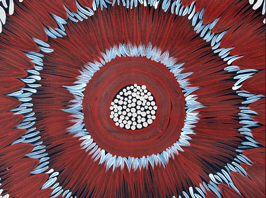 Mary Napangardi Jones Amunturngu Mt Liebig Aboriginal Art Australian Art Indigenous Art Traditional Art Painting Contemporary Art Beautiful art