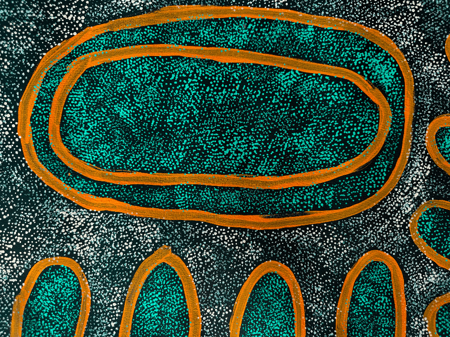 Australian Aboriginal Dreamings - Water Snake, Swamps at Nyrripi Painting