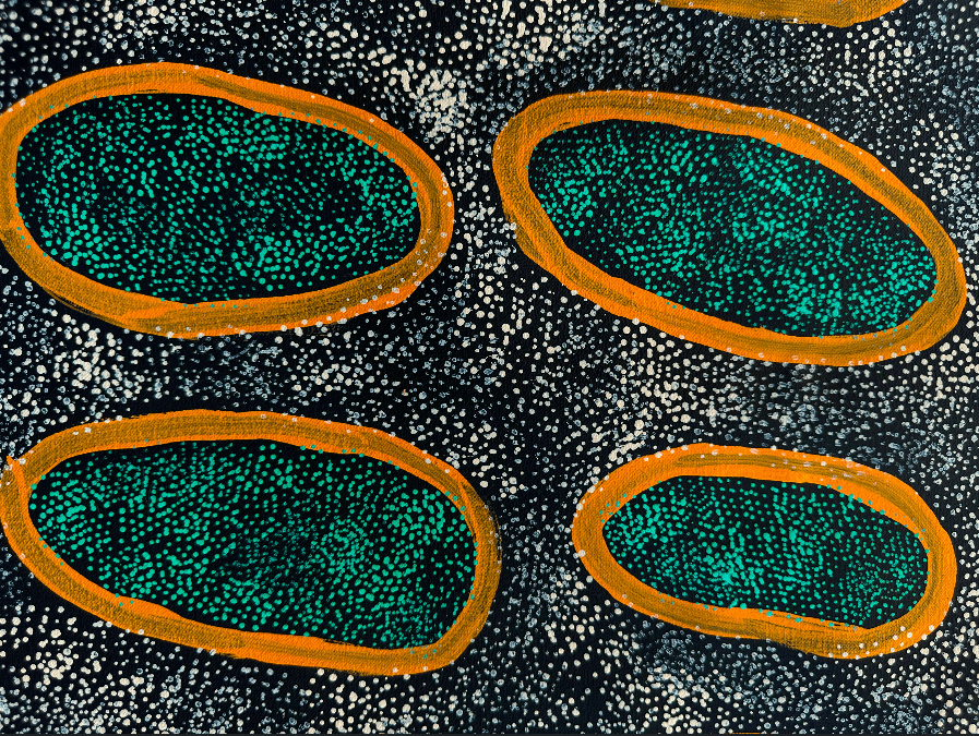 Indigenous Australian Art - Swamps at Nyrripi by Ngoia Pollard Napaltjarri