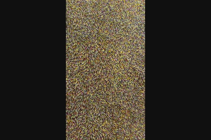 Gloria Tamerre Petyarre Bush Medicine Leaves Utopia Movement Contemporary Bush Medicine Indigenous Art Aboriginal Art Australian Art Art Gallery Red Yellow White Masterpiece Altyerre Aboriginal Art Painting