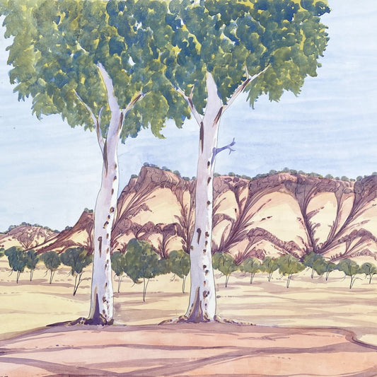 Arnulf Ebatarinja Watercolour Painting Indigenous Art Aboriginal Art Australian Art 