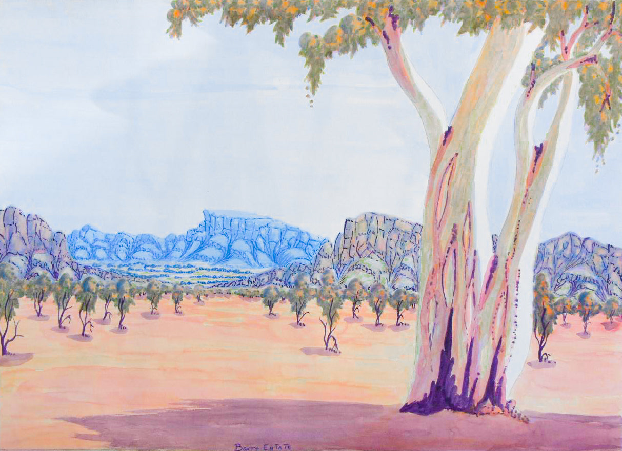 Barry Entata - Watercolour Art - Painting - Indigenous Art - Aborginal Art - Australian Art - Darwin Based Gallery - Central Australian Landscape - 