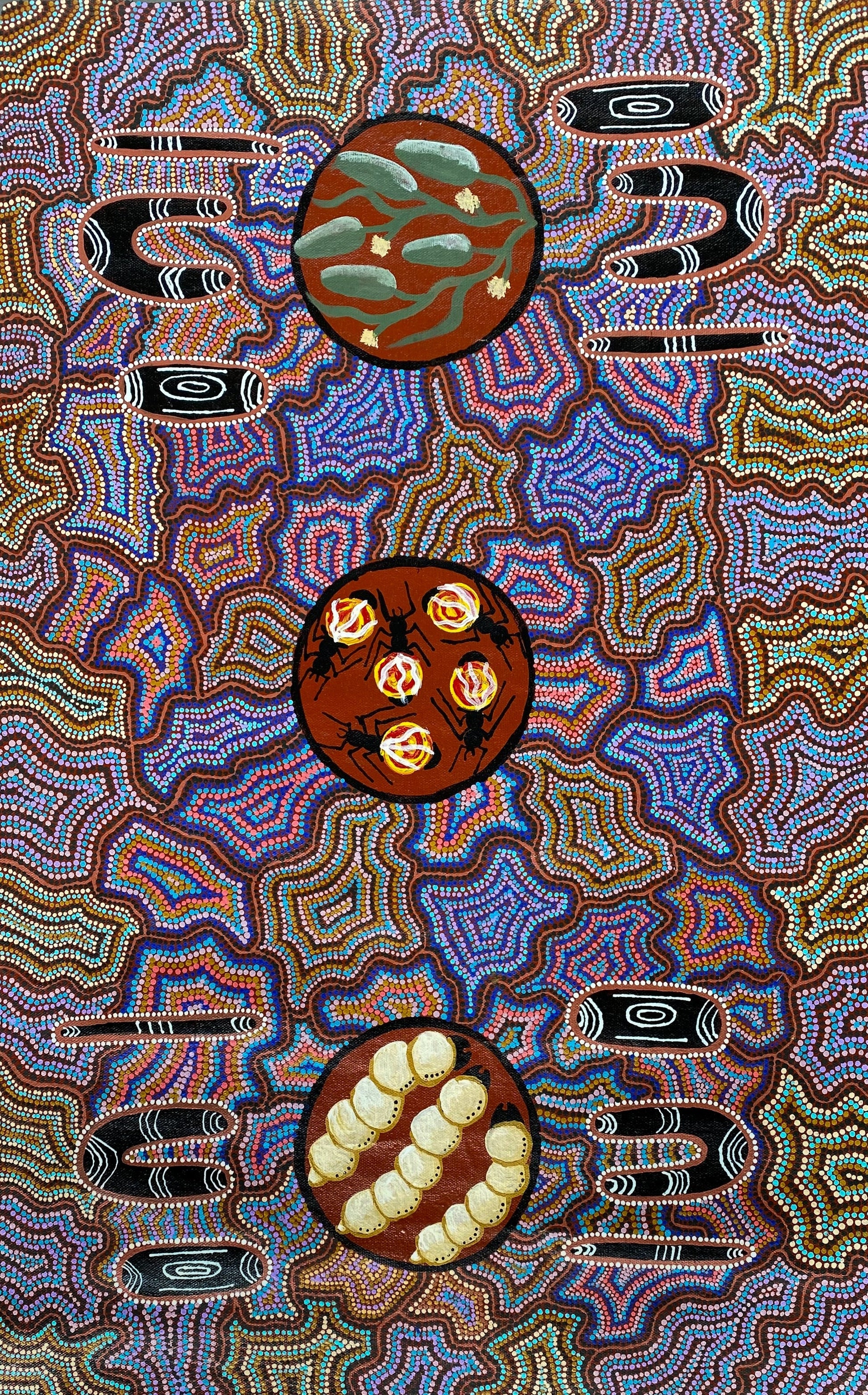 Benita Oliver - Santa Teresa- Ltyentye Apurte - Dot Art Painting - Iconography - Symbolism - Honey Ants - Witchety Grubs - Indigenous Art - Aboriginal Art - Australian Art - Darwin Based Gallery - Painting