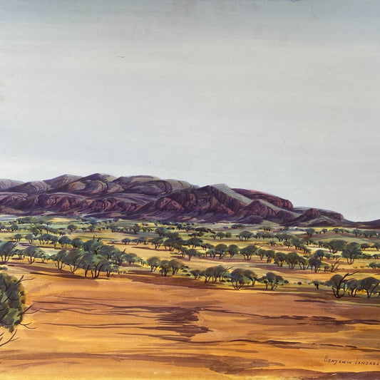 Benjamin Landara Ebatarinja - Central Australian Landscape - Indigenous Art - Aboriginal Art - Australian Art - Painting - Darwin Based Gallery