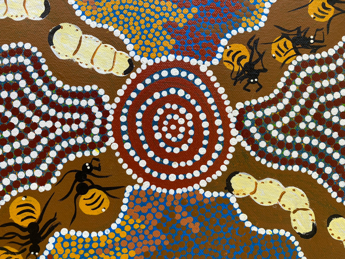 GRACIENNE SIDDICK NAPALJARRI - Bush Tucker