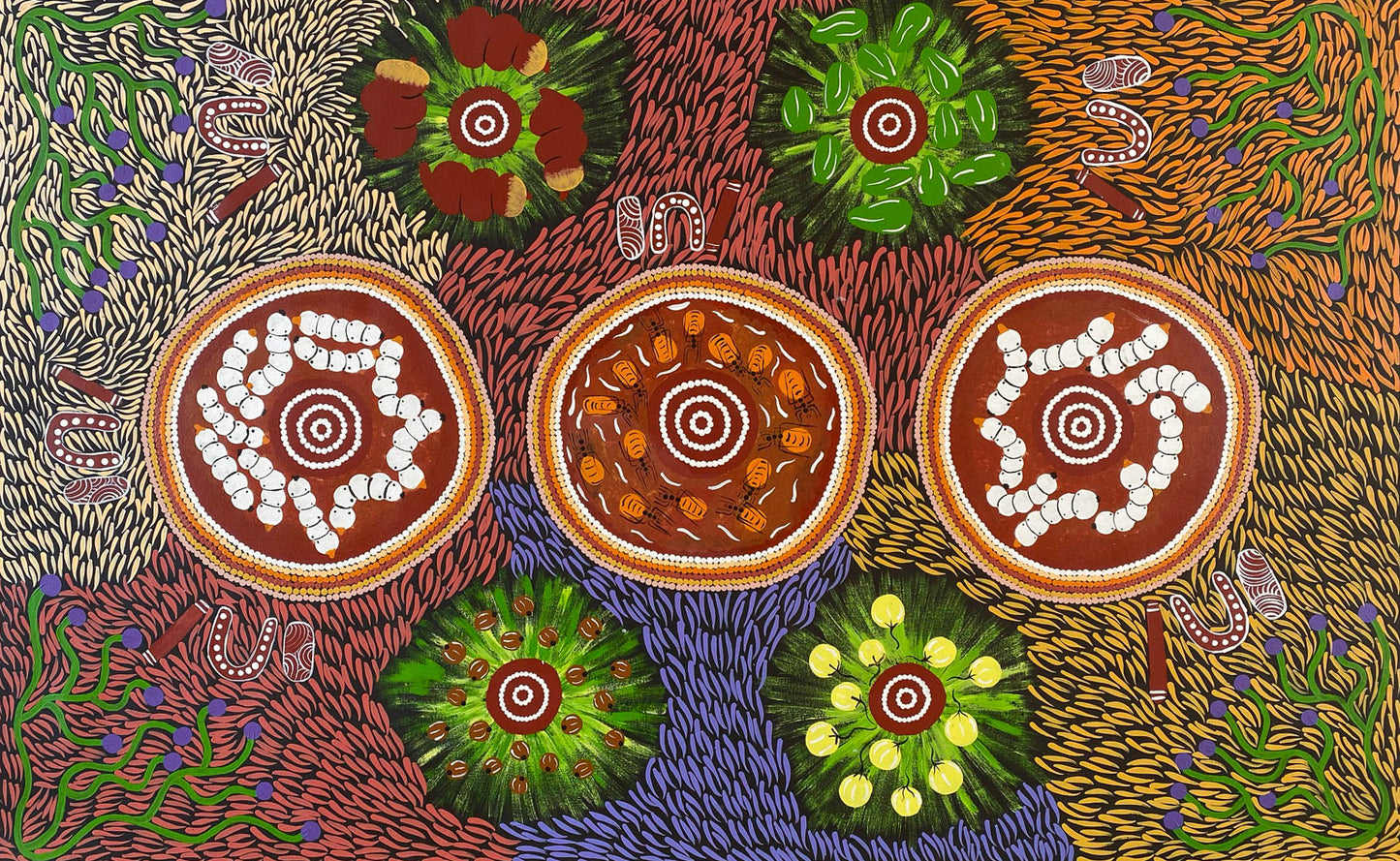 JULIE NAPALTJARRI DEMPSEY - Bush Tucker