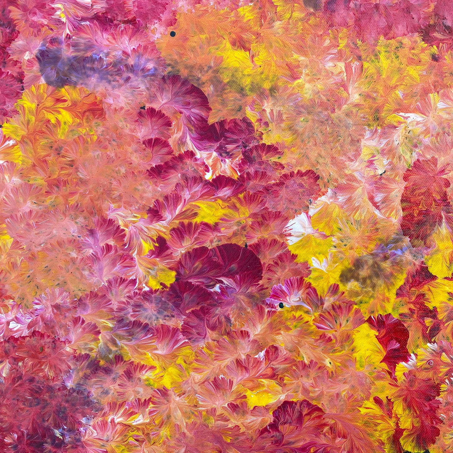 
Jeannie Petyarre Pitjara, Bush Medicine Leaves, Bush Yam, Body Paint, Awelye, Bush Seeds, contemporary art, aboriginal art, indigenous art for sale, Australian art, art collector, altyerre aboriginal art, art work, art gallery, Darwin gallery, painting for sale, wall art, northern territory, alice springs, décor, interior décor, interior design, office décor, art lover, famous artist, utopian artist, dreaming, bush medicine, family business, movement, hypnotic, art storytelling, modern art, traditional art