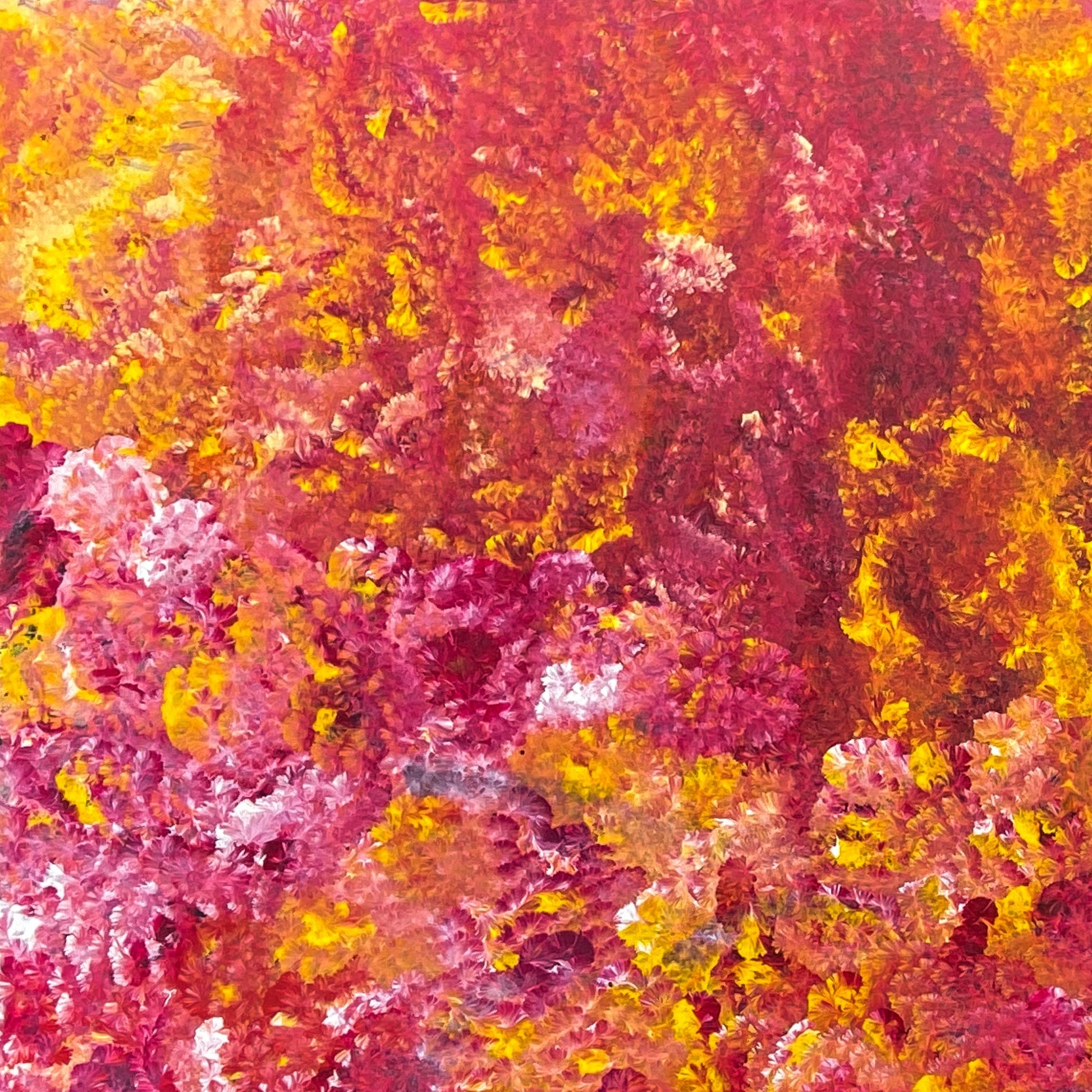 
Jeannie Petyarre Pitjara, Bush Medicine Leaves, Bush Yam, Body Paint, Awelye, Bush Seeds, contemporary art, aboriginal art, indigenous art for sale, Australian art, art collector, altyerre aboriginal art, art work, art gallery, Darwin gallery, painting for sale, wall art, northern territory, alice springs, décor, interior décor, interior design, office décor, art lover, famous artist, utopian artist, dreaming, bush medicine, family business, movement, hypnotic, art storytelling, modern art, traditional art