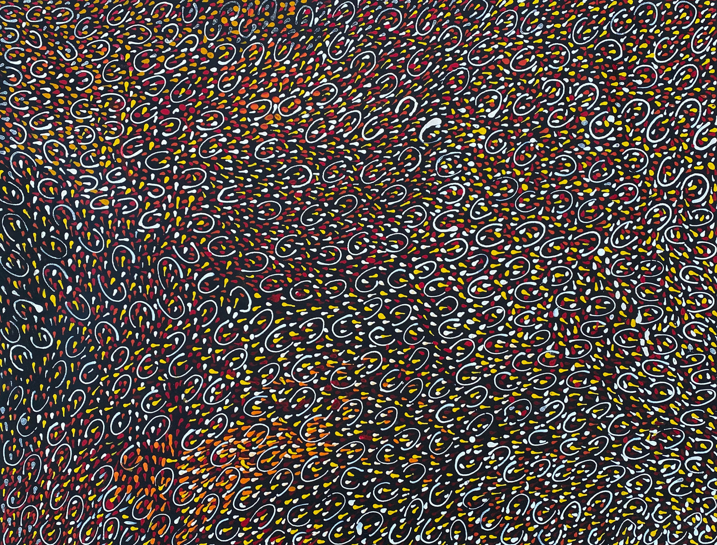 Jeannie Pitjara Petyarre Indigenous Art Aboriginal Art Australian Art Bush Seeds Contemporary Art Painting Utopia