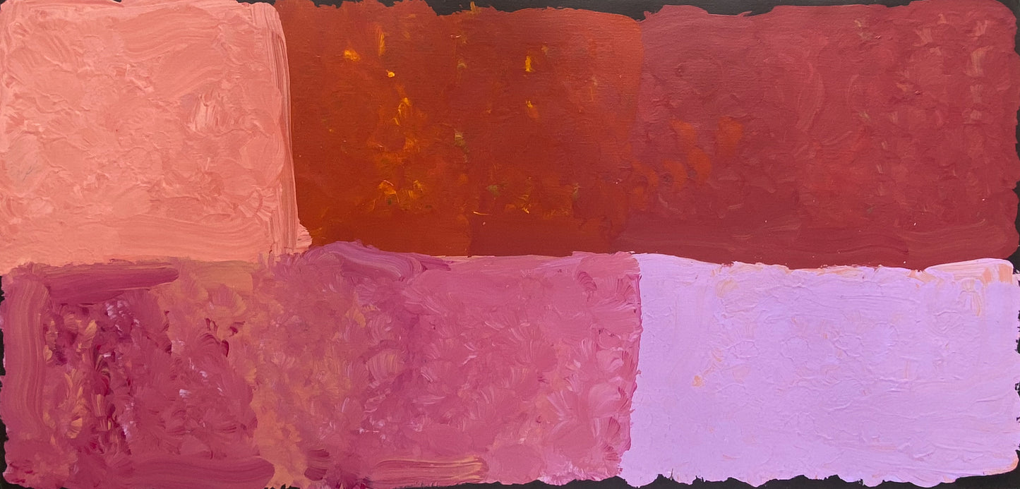 Kudditji Kngwarreye Aboriginal Art Indigenous Art Australian Art My Country Contemporary Art Utopia