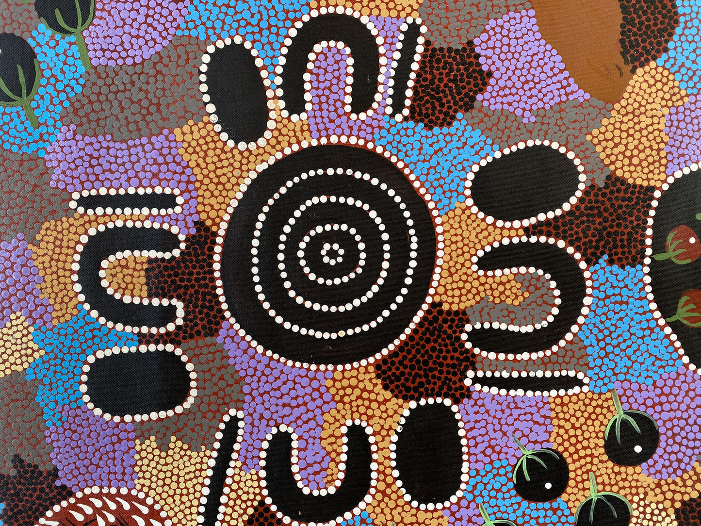 MAVIS JUGADAI NAPALTJARRI - Bush Tucker